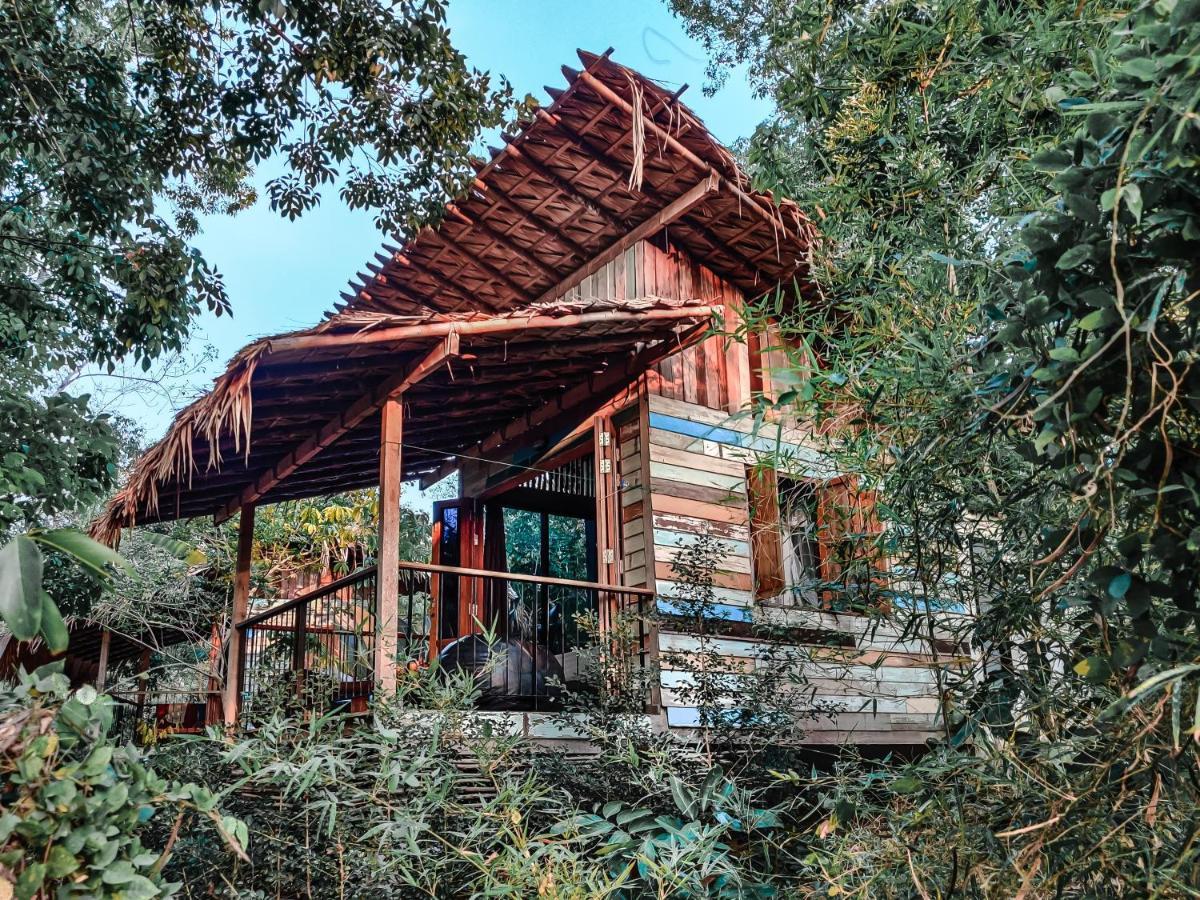 Nature Hill كو موك المظهر الخارجي الصورة